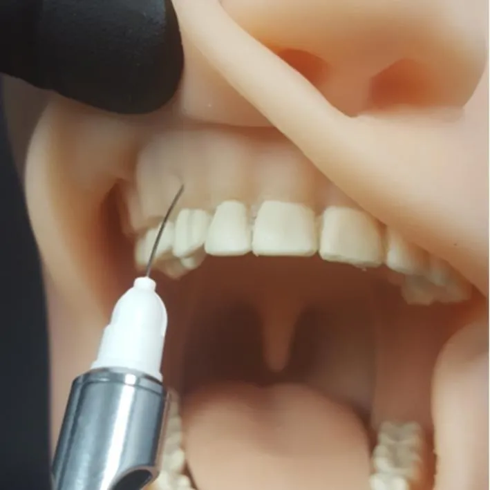 Oral Anesthesia Manikin with Light Sensors Only