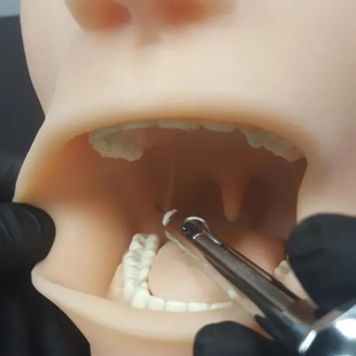 Oral Anesthesia Manikin with Light Sensors Only